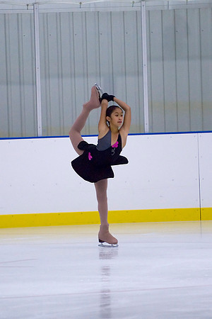 Northern Ice Regional Exhibition