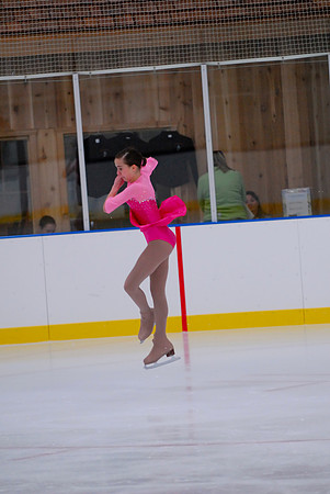 Northern Ice Regional Exhibition
