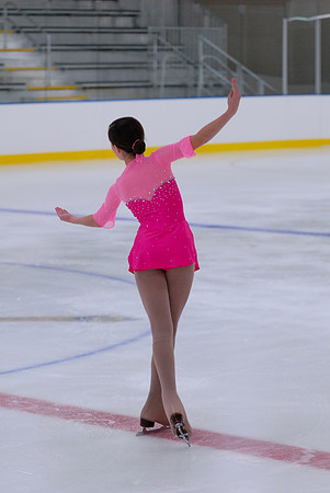 Northern Ice Regional Exhibition