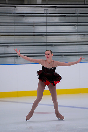 Northern Ice Regional Exhibition