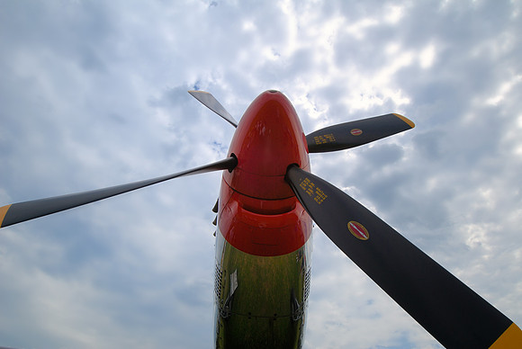 A Mustang's Nose....