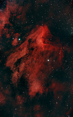 IC 5070 Pelican Nebula