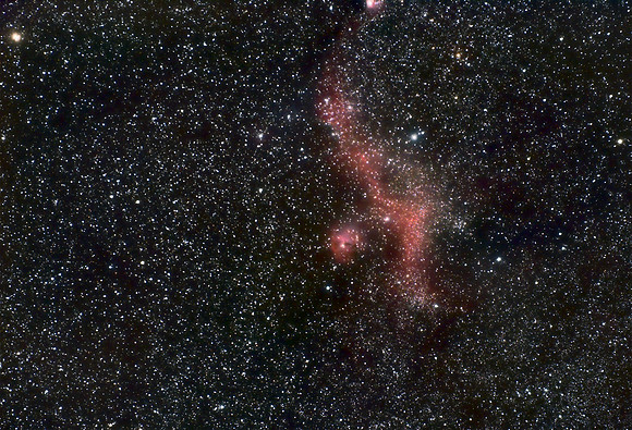 Seagull Nebula