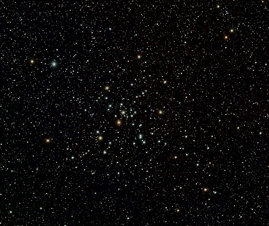 M 41