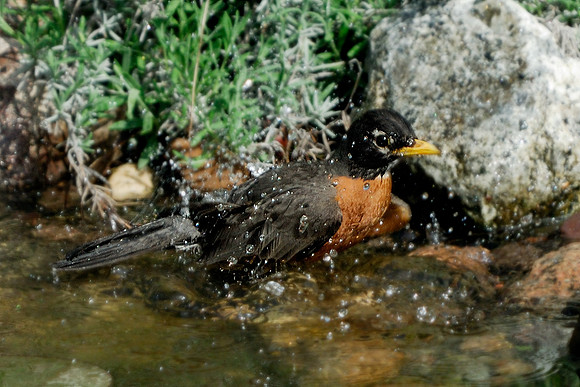 Bath Time....