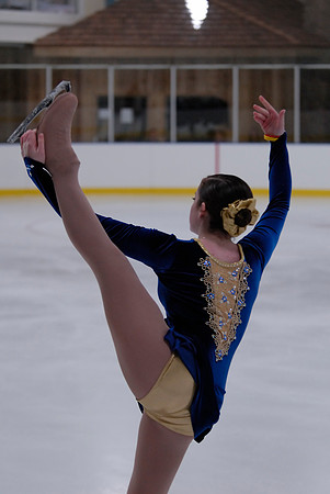 Northern Ice Regional Exhibition