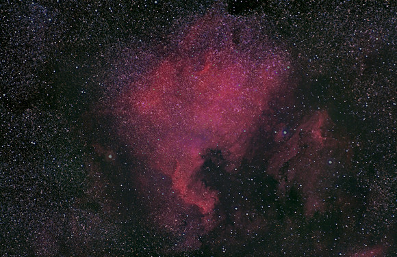 NGC 7000