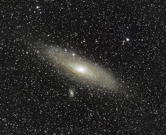 M 31