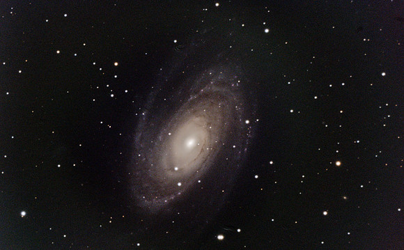 M 81