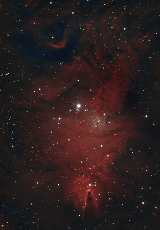 NGC 2264