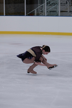 Northern Ice Regional Exhibition