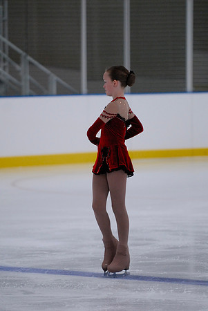 Northern Ice Regional Exhibition