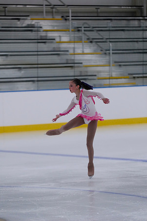 Northern Ice Regional Exhibition