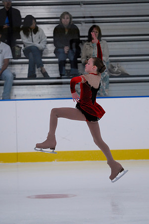 Northern Ice Regional Exhibition
