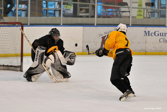 Icehawks Hockey