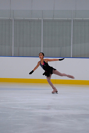 Northern Ice Regional Exhibition