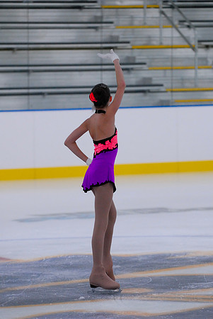 Northern Ice Regional Exhibition