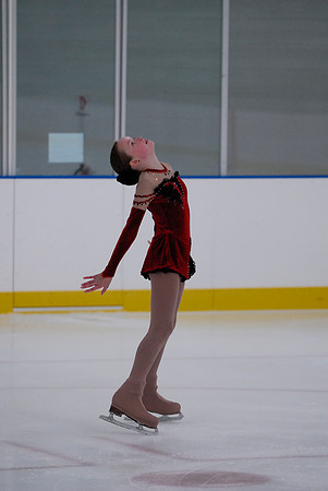 Northern Ice Regional Exhibition
