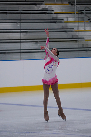 Northern Ice Regional Exhibition