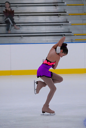 Northern Ice Regional Exhibition