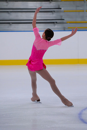 Northern Ice Regional Exhibition