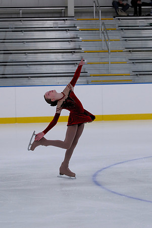 Northern Ice Regional Exhibition