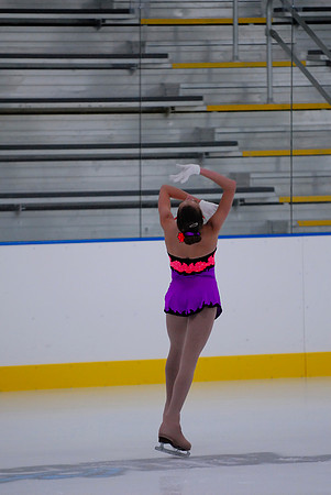 Northern Ice Regional Exhibition