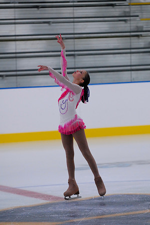 Northern Ice Regional Exhibition