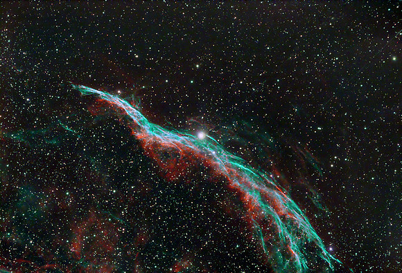 NGC 6960, Witch's Broom, Western Veil