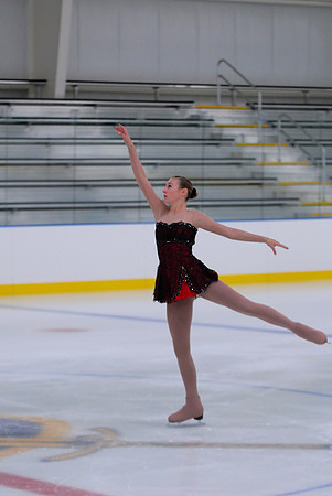 Northern Ice Regional Exhibition