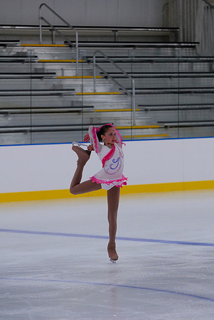 Northern Ice Regional Exhibition